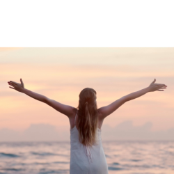 Image illustrant la section