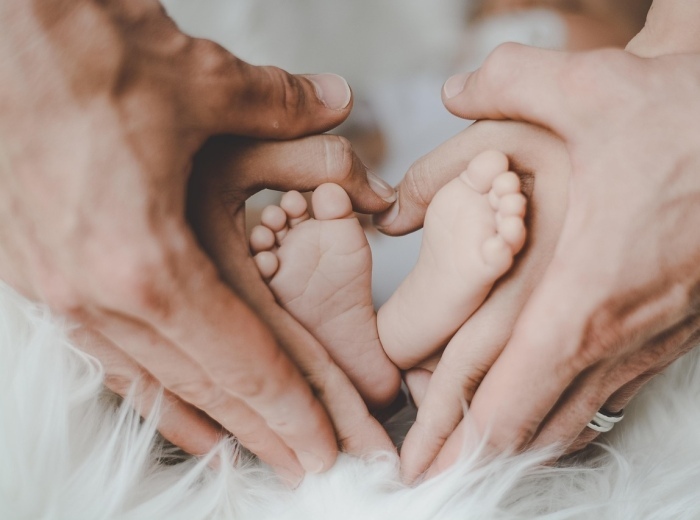 Image illustrant la section