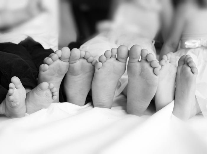 Image illustrant la section